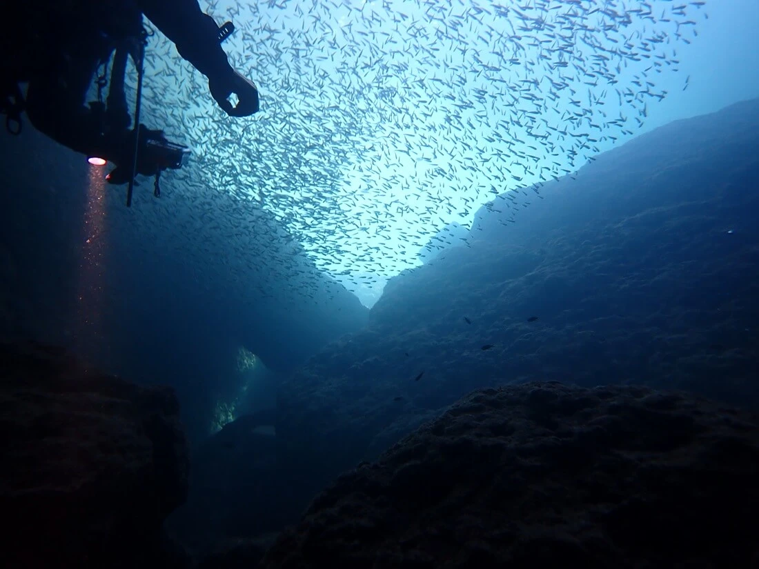 Nachtduiken in Nederland tijdens de Advanced opleiding bij Fantasea Divers