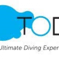 TODI
